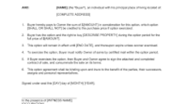 option to buy agreement