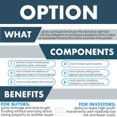 Option contract REITipster