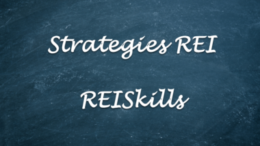 Strategies REI