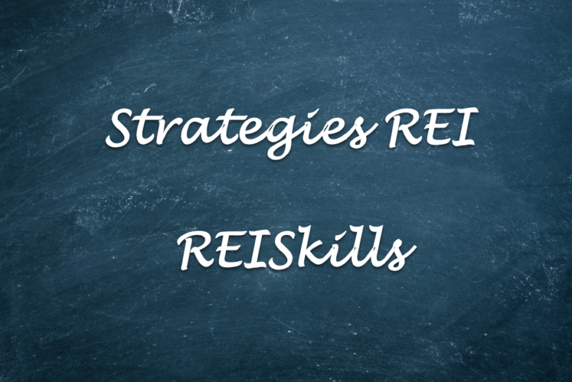 Strategies REI