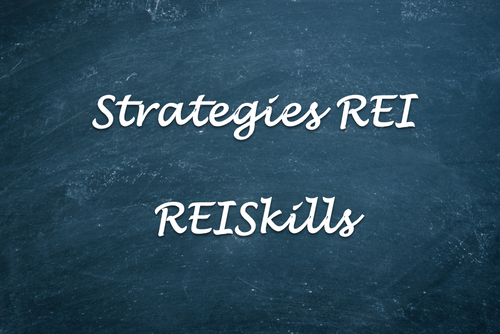 Strategies REI Hub